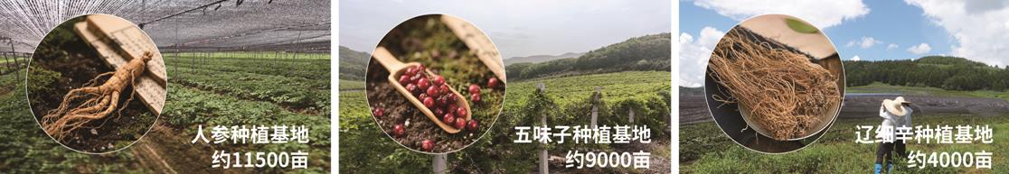 360截图20260417143637796.jpg